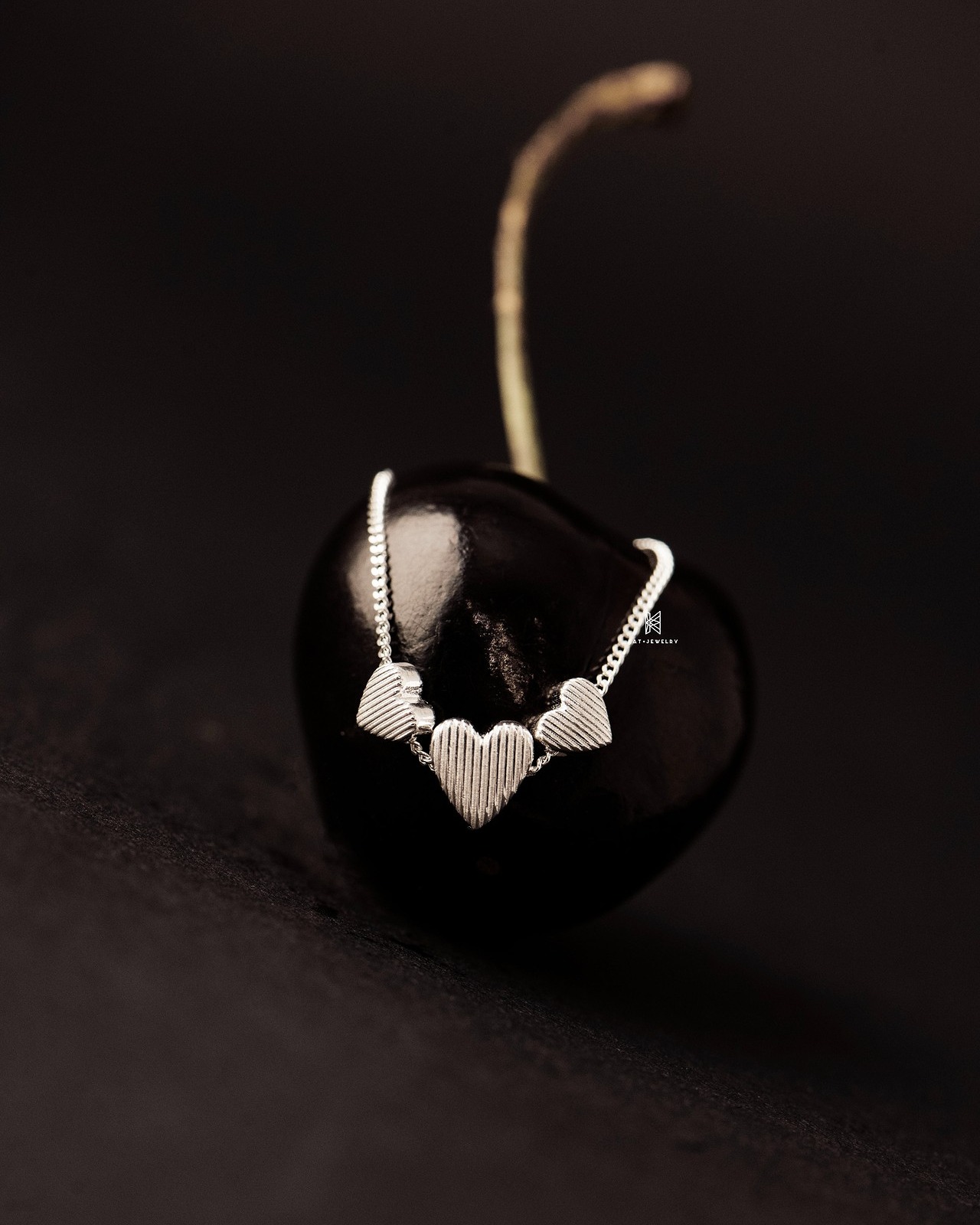 547374792_1216962400476436_1327386434232672449_n