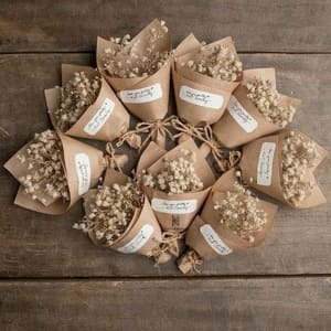 13 năm hoạt động